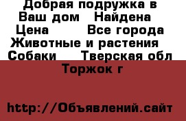 Добрая подружка,в Ваш дом!!!Найдена › Цена ­ 10 - Все города Животные и растения » Собаки   . Тверская обл.,Торжок г.